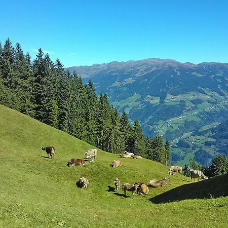 Chalet Bergjuwel Im Zillertal Otr05077 Tyb *